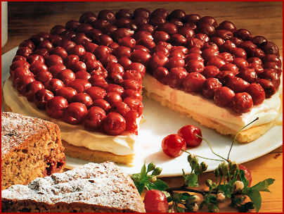 kolač sa sirom i višnjama